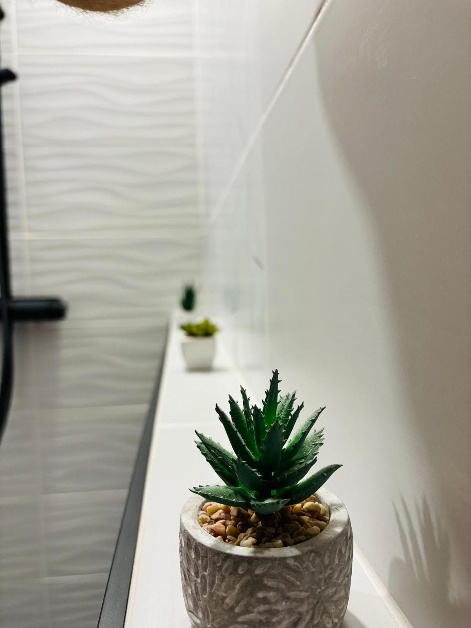 Amos Apartment-Ultracentral-Free Parking クルージュ＝ナポカ エクステリア 写真